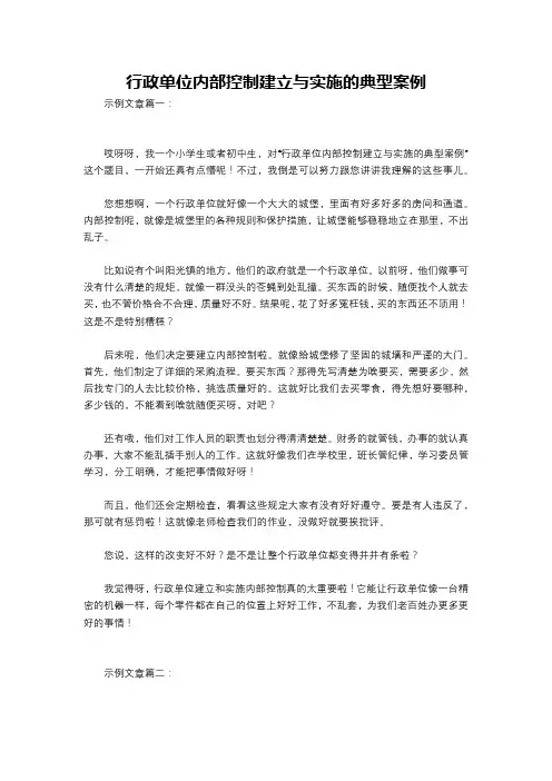 行政单位内部控制建立与实施的典型案例