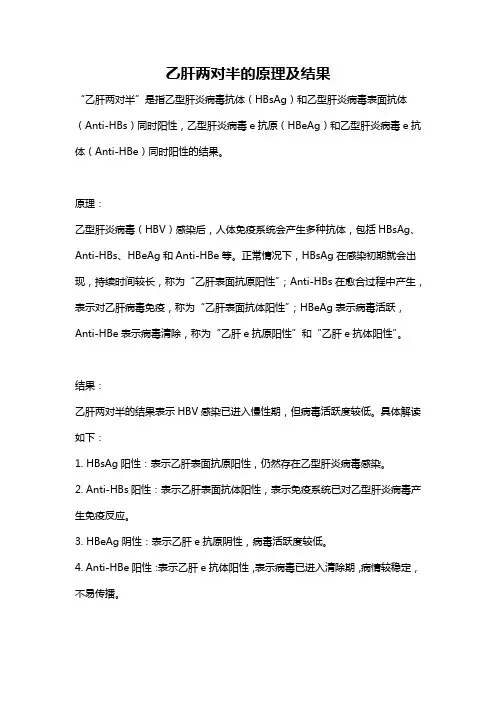 乙肝两对半的原理及结果
