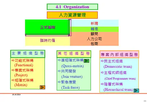 项目的组织结构设计.ppt