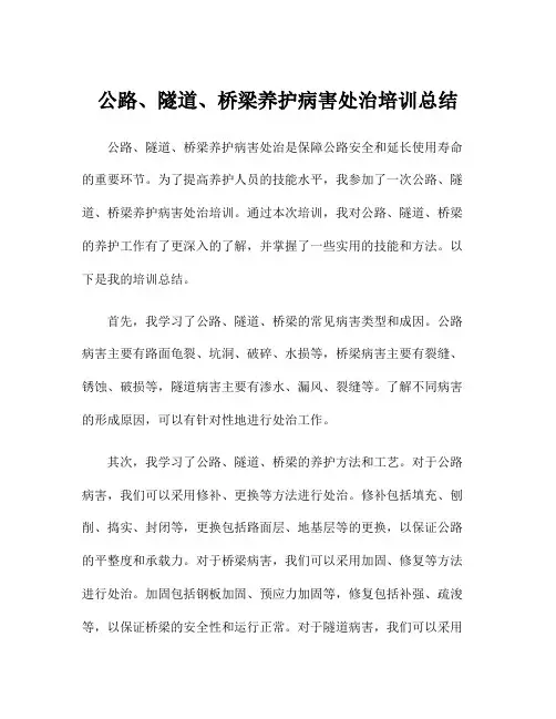 公路、隧道、桥梁养护病害处治培训总结