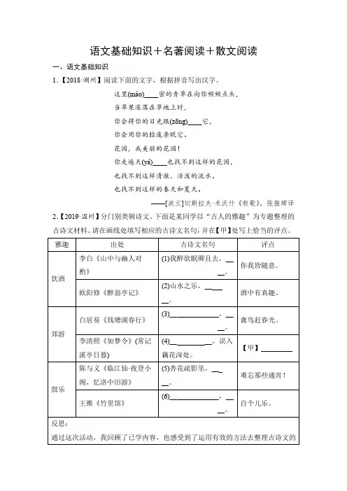语文基础知识+名著阅读+散文阅读5
