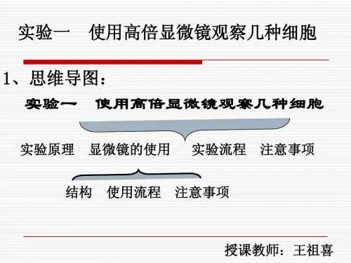 1.2使用高倍显微镜观察几种细胞