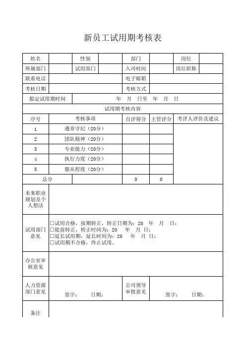 新员工试用期考核表