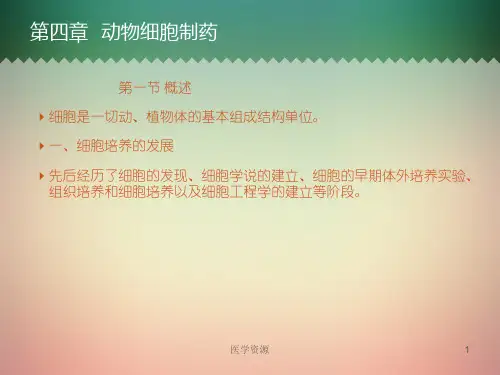 生物技术制药 (动物细胞制药)  ppt课件