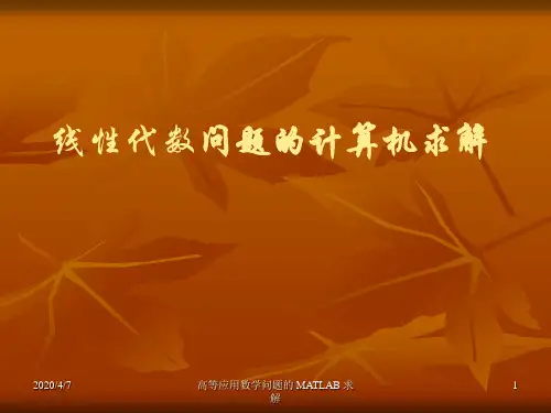MATLAB综合应用二：线性代数问题的计算机求解.ppt