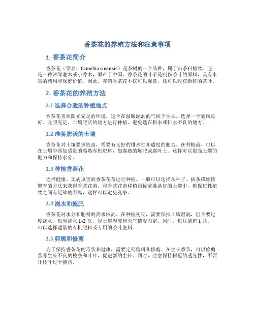 香茶花的养殖方法和注意事项