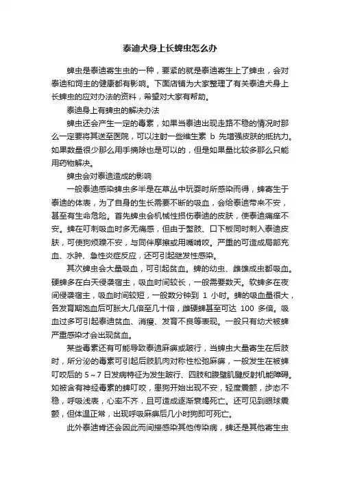 泰迪犬身上长蜱虫怎么办