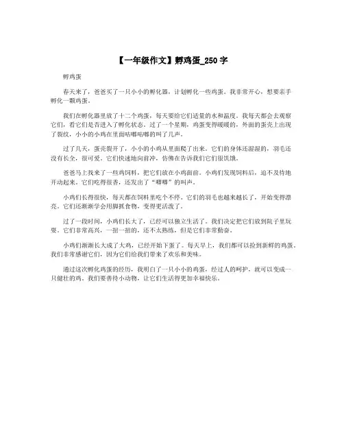 【一年级作文】孵鸡蛋_250字