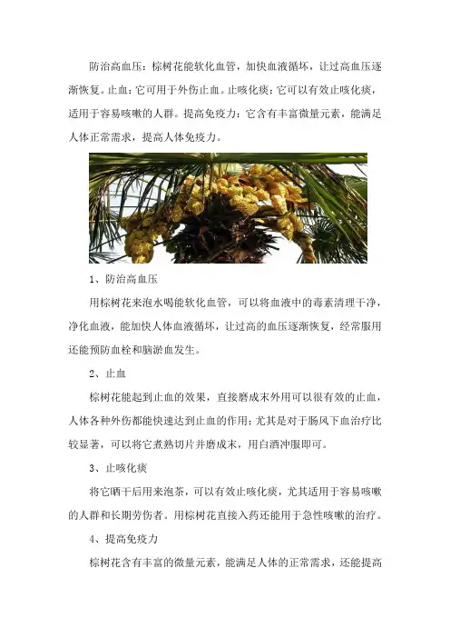 棕树花的功效与作用