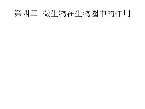 微生物在生物圈的作用