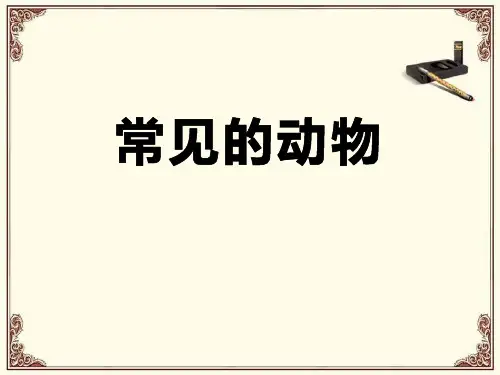 《常见的动物》精品PPT课件