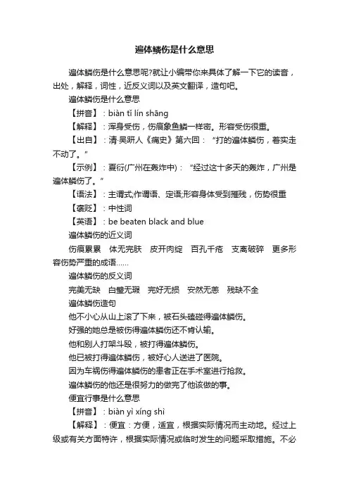 遍体鳞伤是什么意思