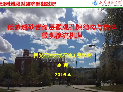 低渗透砂岩储层微观孔隙结构与流体渗流机理PPT课件