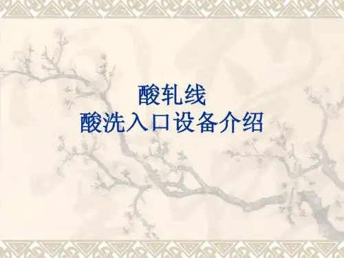 酸洗入口设备介绍