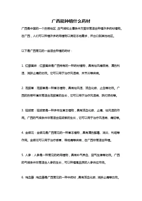 广西能种植什么药材