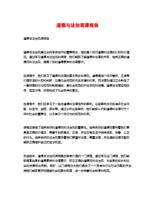 道德与法治观课报告