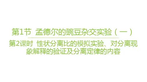 人教版高中生物学必修2精品课件 第2课时 性状分离比的模拟实验、对分离现象解释的验证及分离定律的内容
