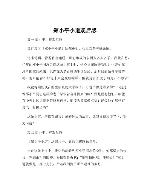 郑小平小道观后感
