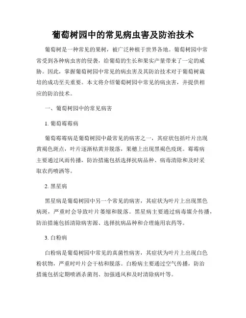 葡萄树园中的常见病虫害及防治技术