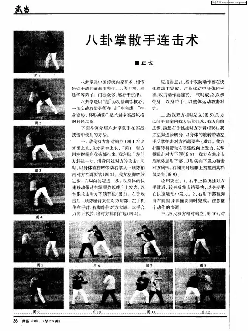 八卦掌散手连击术
