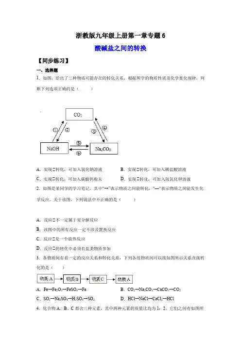 专题6.酸碱盐之间的转换(练习)(原卷版+解析)