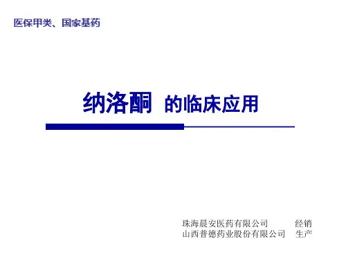 纳洛酮客户版2
