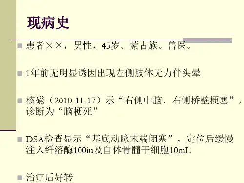 神内教学查房病例汇报