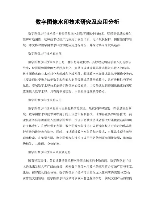 数字图像水印技术研究及应用分析