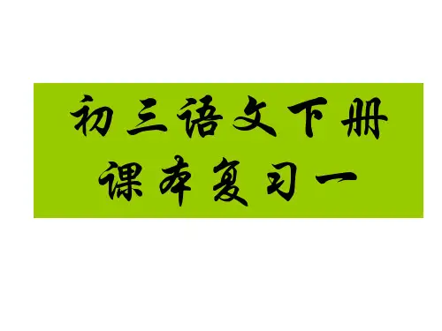 九年级下册语文基础复习课件