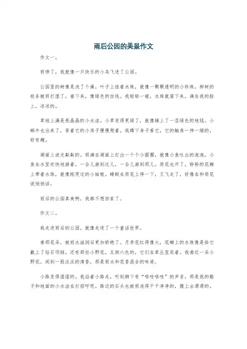 雨后公园的美景作文