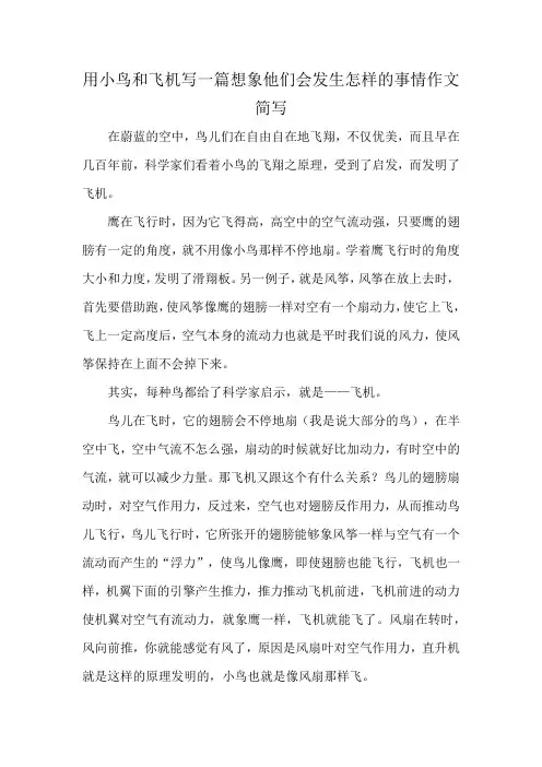 用小鸟和飞机写一篇想象他们会发生怎样的事情作文简写
