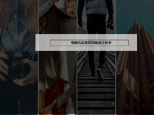 电商代运营项目商业计划书