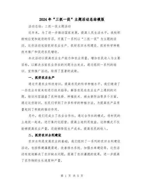 2024年“三抓一促”主题活动总结模版(二篇)