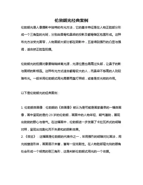 伦勃朗光经典案例