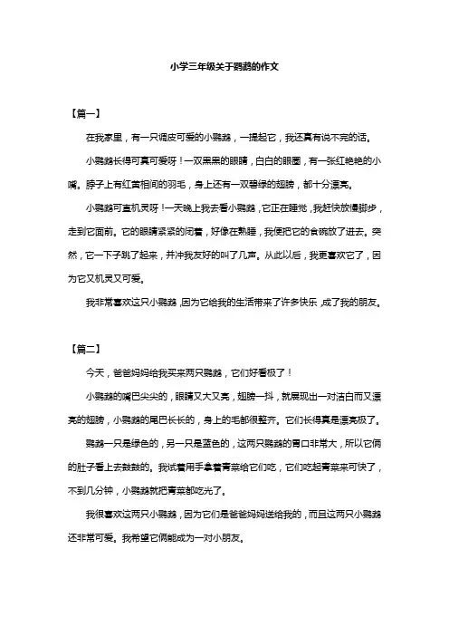 小学三年级关于鹦鹉的作文