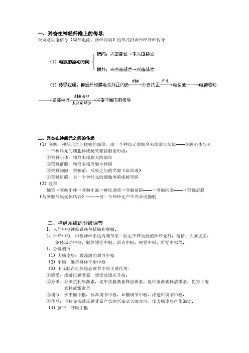 【免费下载】 一、兴奋在神经纤维上的传导：