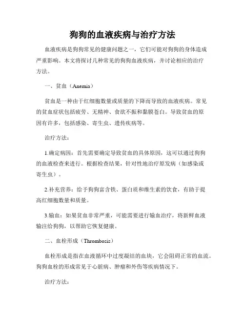 狗狗的血液疾病与治疗方法