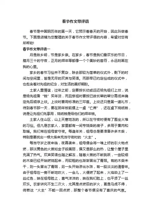 春节作文带评语