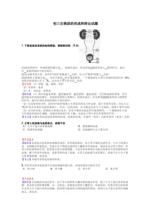 初三生物尿的形成和排出试题
