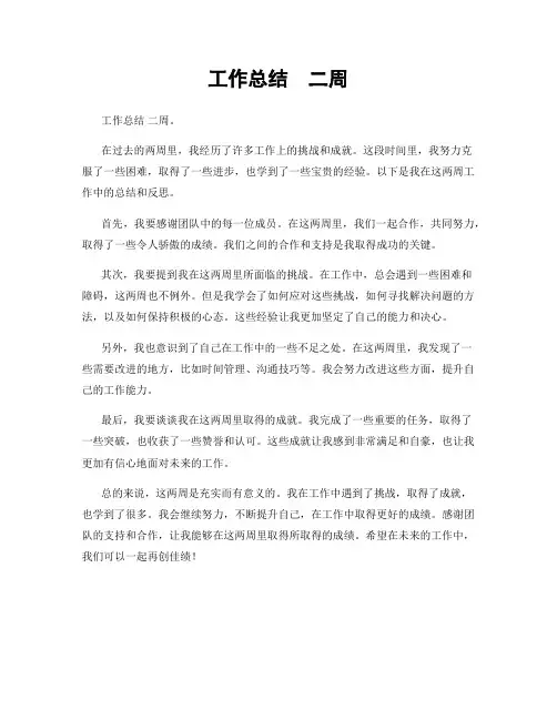 工作总结  二周