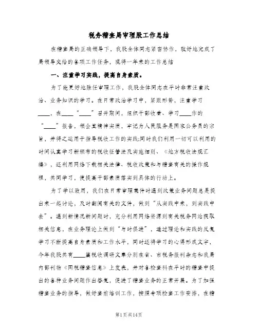 税务稽查局审理股工作总结（二篇）
