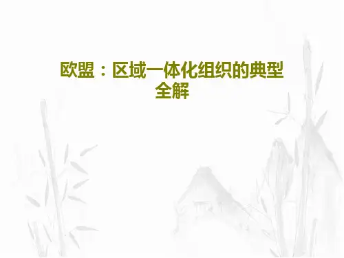 欧盟：区域一体化组织的典型全解共21页文档