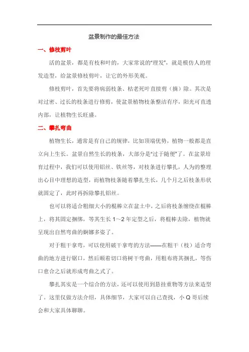 盆景制作的最佳方法