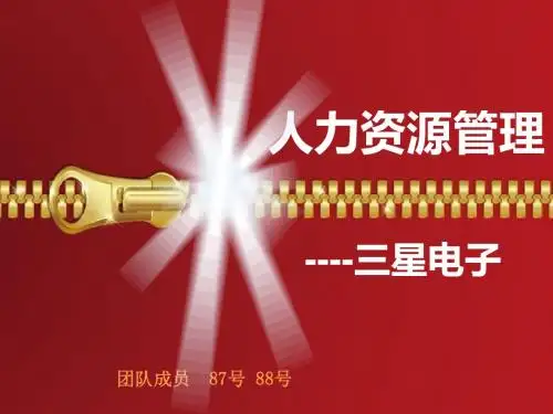 星电子人力资源管理ppt课件