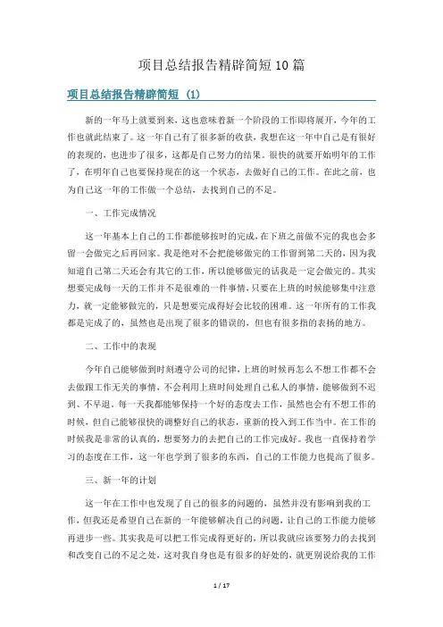 项目总结报告精辟简短10篇