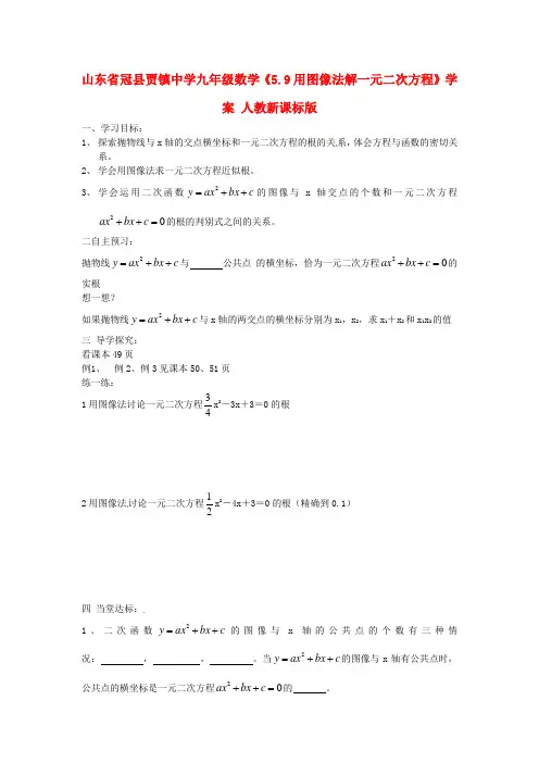 山东省冠县贾镇中学九年级数学《59用图像法解一元二次