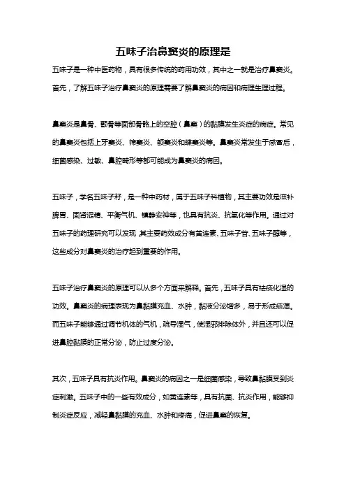 五味子治鼻窦炎的原理是