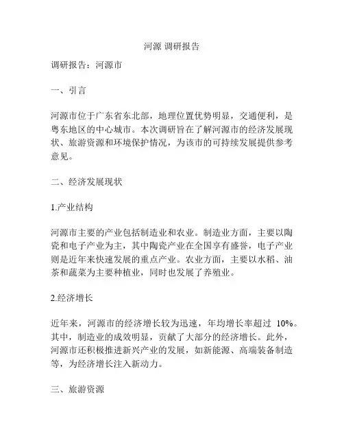 河源 调研报告