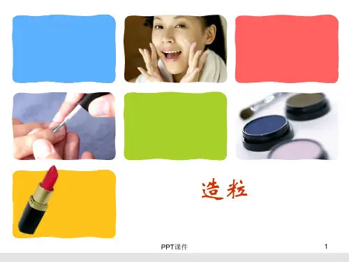 造粒技术  ppt课件