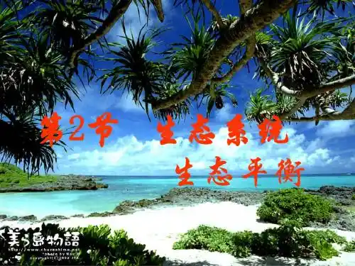 生态系统、生态平衡复习课